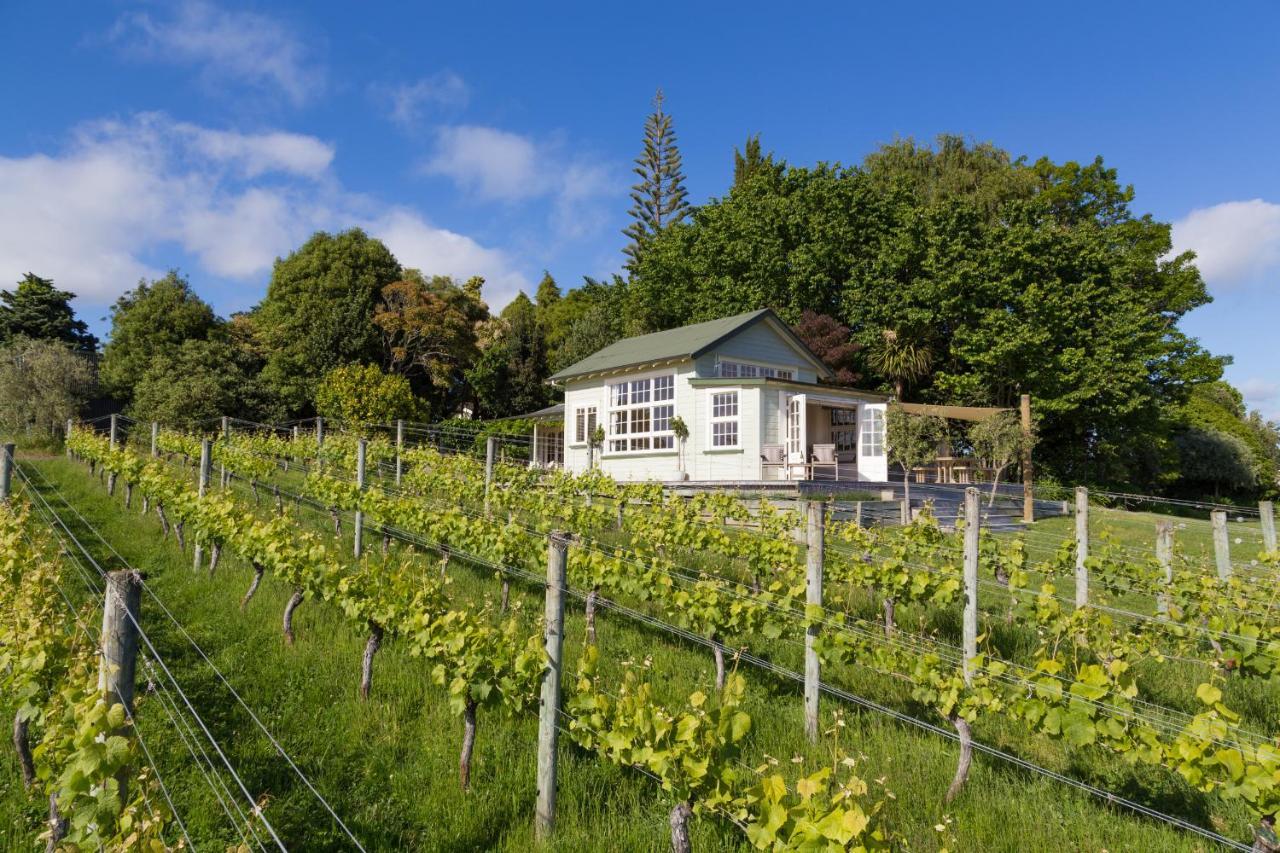 Kina Beach Cottages Tasman 外观 照片