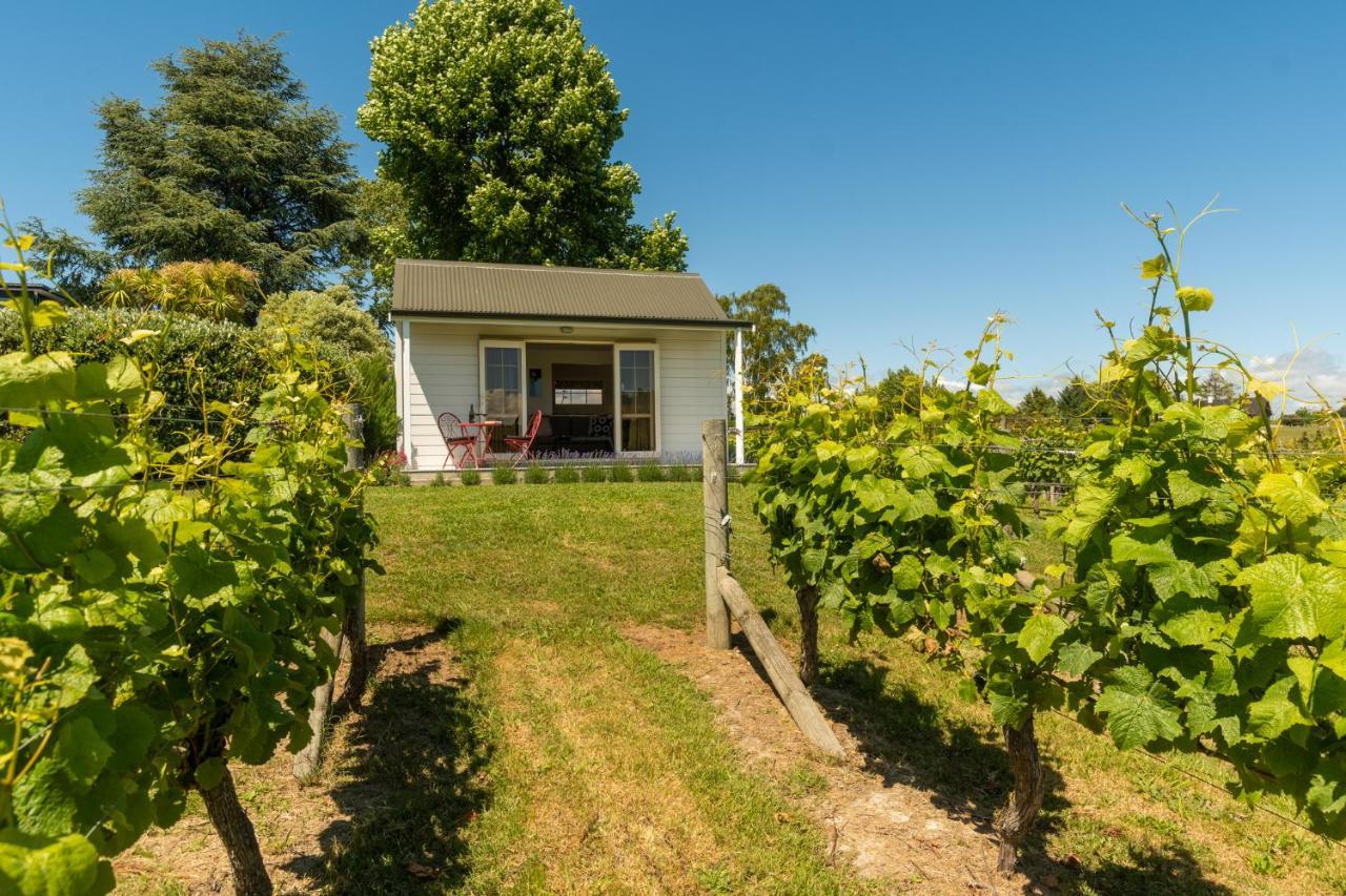 Kina Beach Cottages Tasman 外观 照片